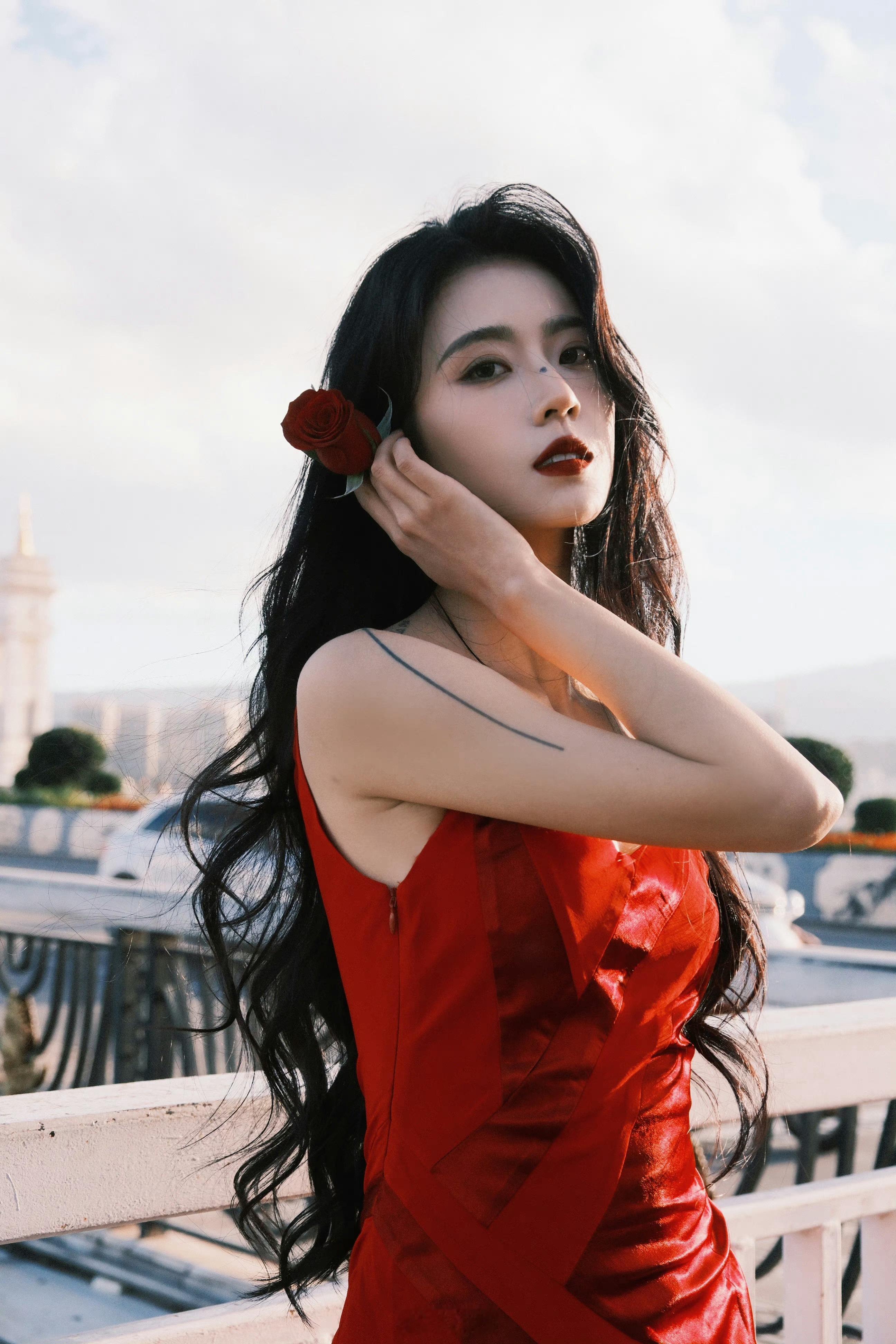 热烈自由的红玫瑰 ​​​