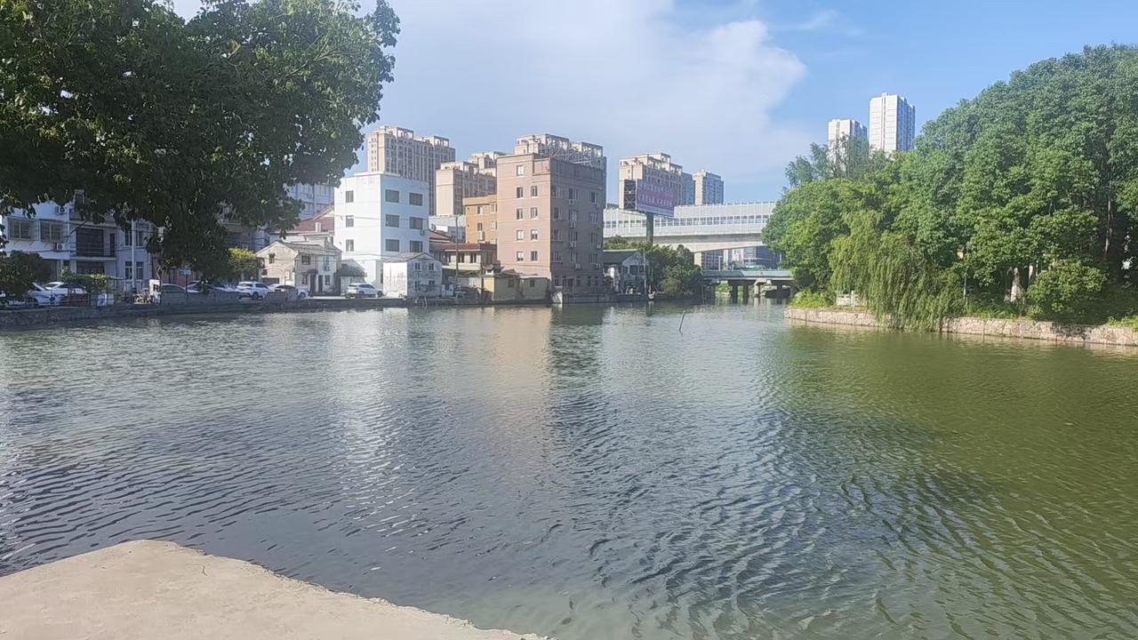 看这乐清万岙村的河水，静静穿过乐清万岙村，粼粼水波映着两岸景致。

河边一侧错落