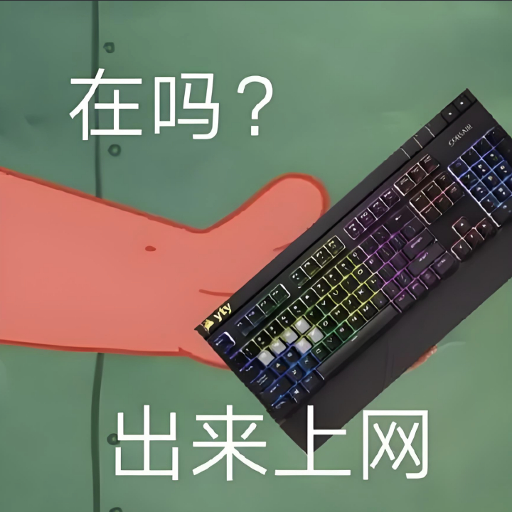 休假必须起早贪黑分秒必争地上网[送花花] ​​​