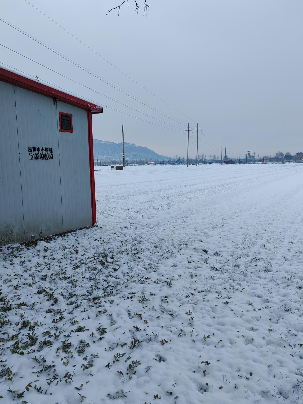 同事竟然开始吃素了。
他是开货拉拉的，活儿不少，一年的转账流水能有20多万。工作