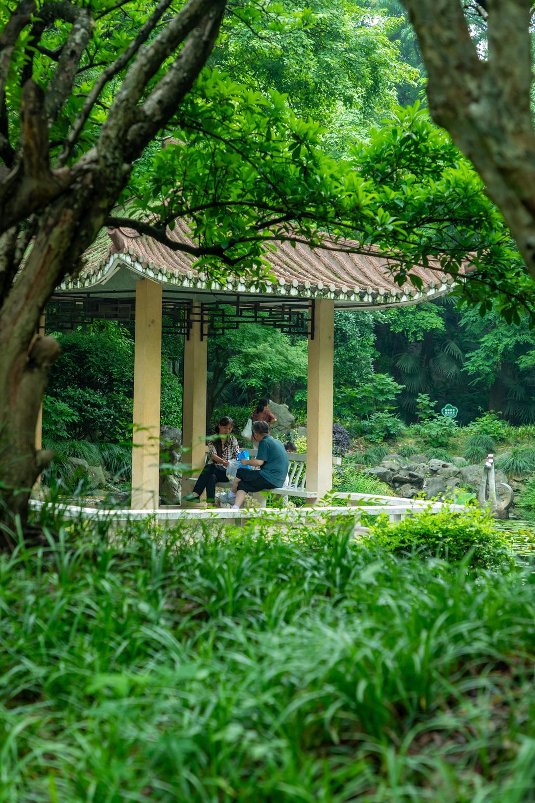 合肥市中心天然空调园林 
参天古木遮骄阳，湖边泛舟吹风，避暑遛弯一站式。