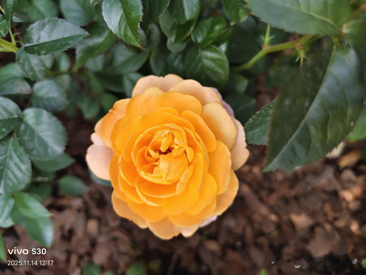 在异乡突然想家的瞬间