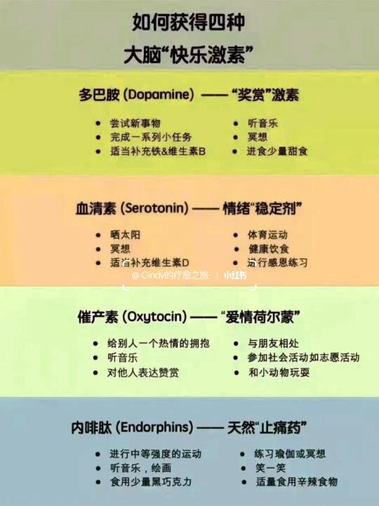 🌈一键开启快乐密码！解锁大脑4种“快乐激素”