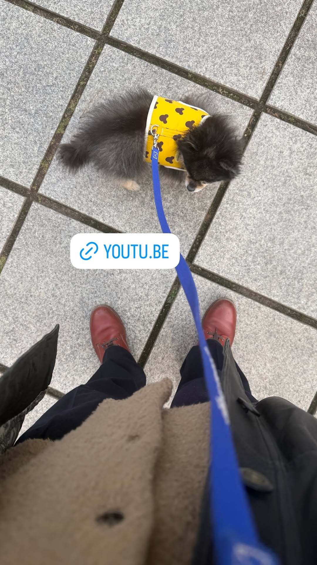 “CB百蓝_。260301金钟云 ins story更新： 