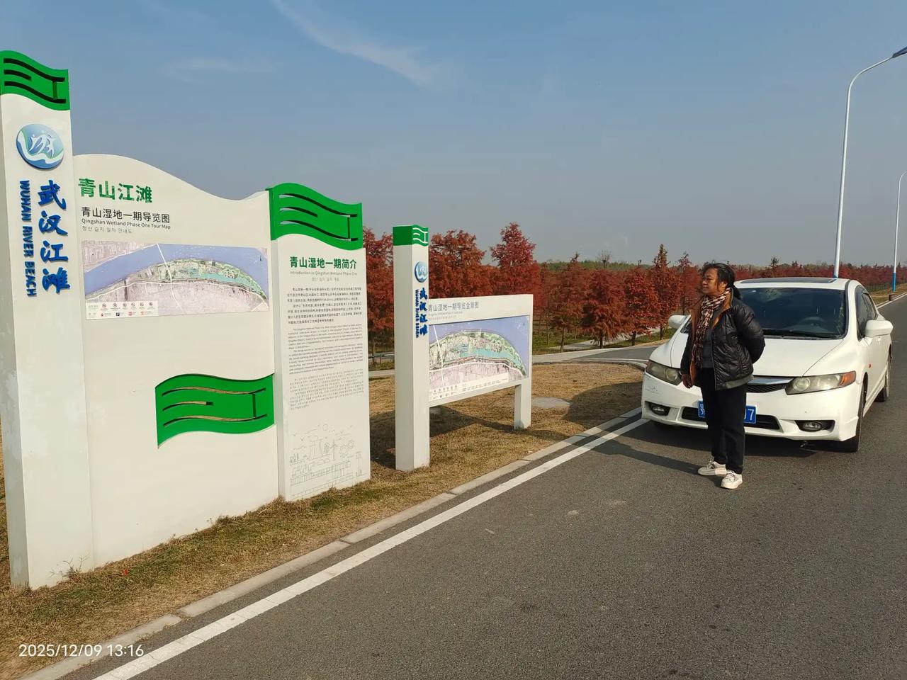 嗯，青山湿地公园没有什么人可以钓鱼，有很多芦苇，还有很多水塘自然美