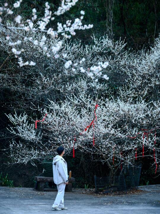 第一次去武夷山，建议复制这条精华路线