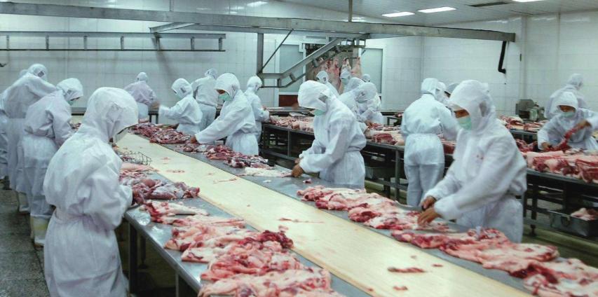 鸭子做错了什么，怎么就成了造假界的顶流？
重油重辣火锅里，鸭肉能完美冒充牛羊肉。