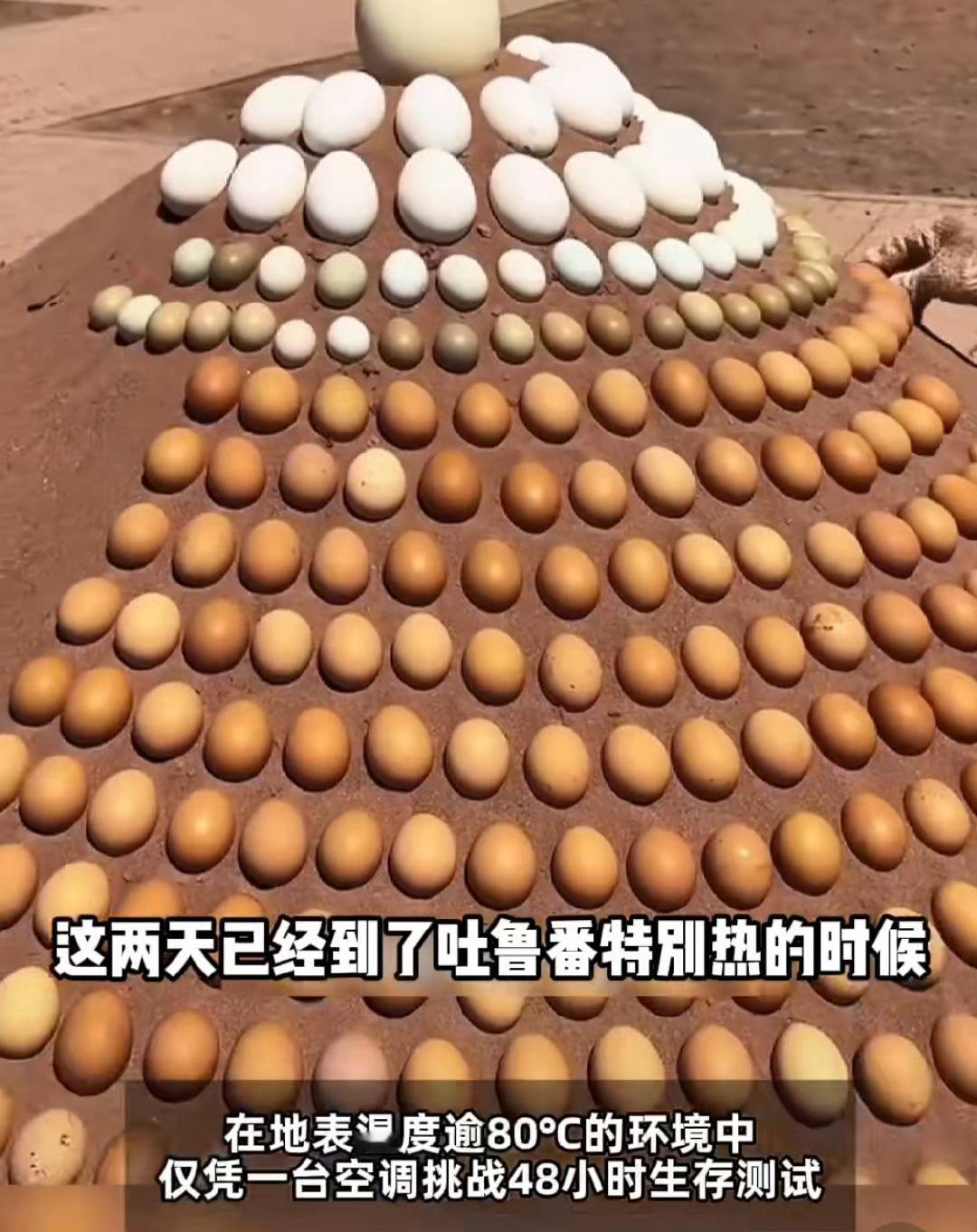 50度高温下生存48小时是什么体验今年夏天的温度实在是太热了，肯定是离不开空调呀