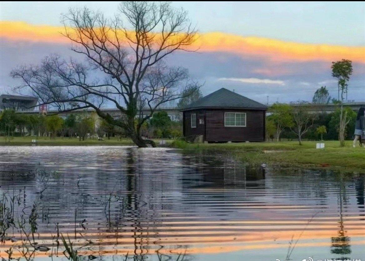 五年椒江焕新颜，路畅园绿居更宜，点滴变化皆藏民生温度，守护美好日常。