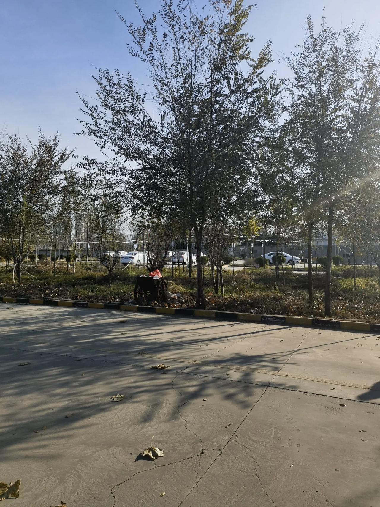 想去的地方去不了，想见的人见不上；不想来的地方来了，不想见的人也见到了。众生皆苦