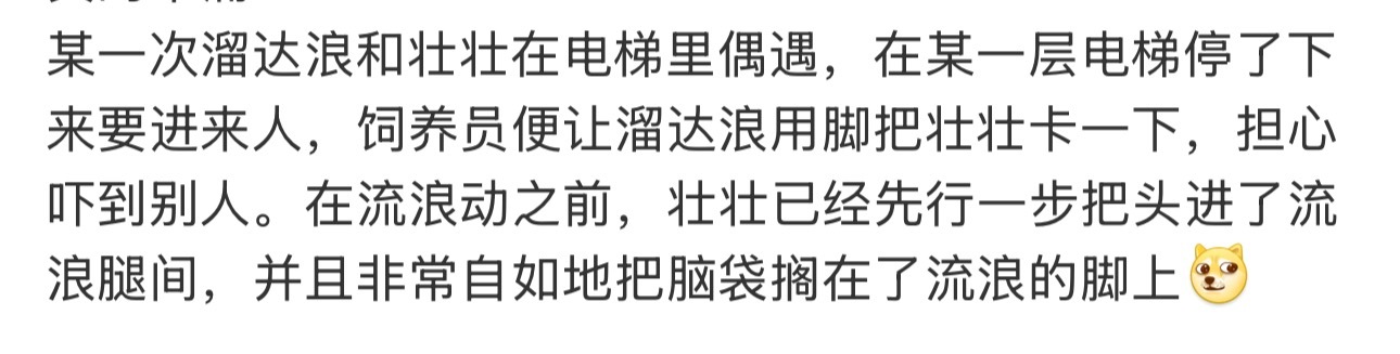 这个溜达浪和壮壮都好萌 