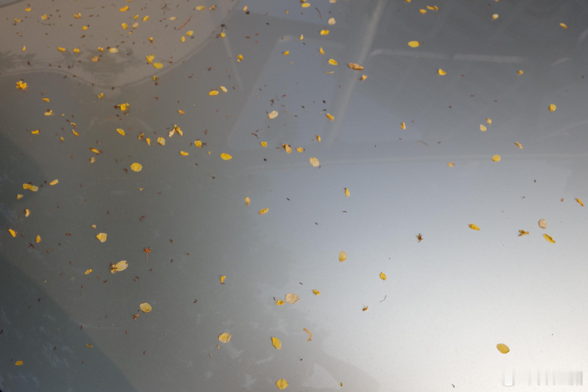 有光的日子，广州生活感情这点事儿人文 5月慢时光 理光GR4 广州·广州义务植树