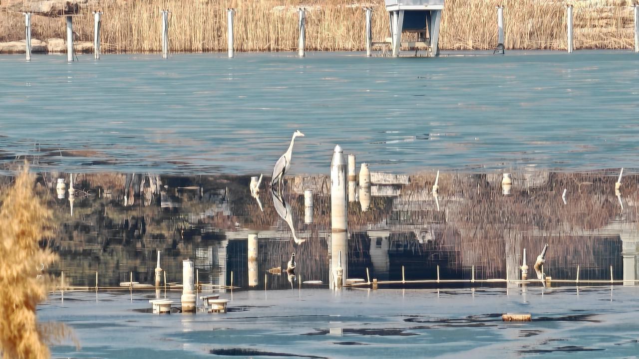 书法能不能用简化字?
书法当然可以用简化字，毛笔行草有挺多简化字，但尽量不要混用