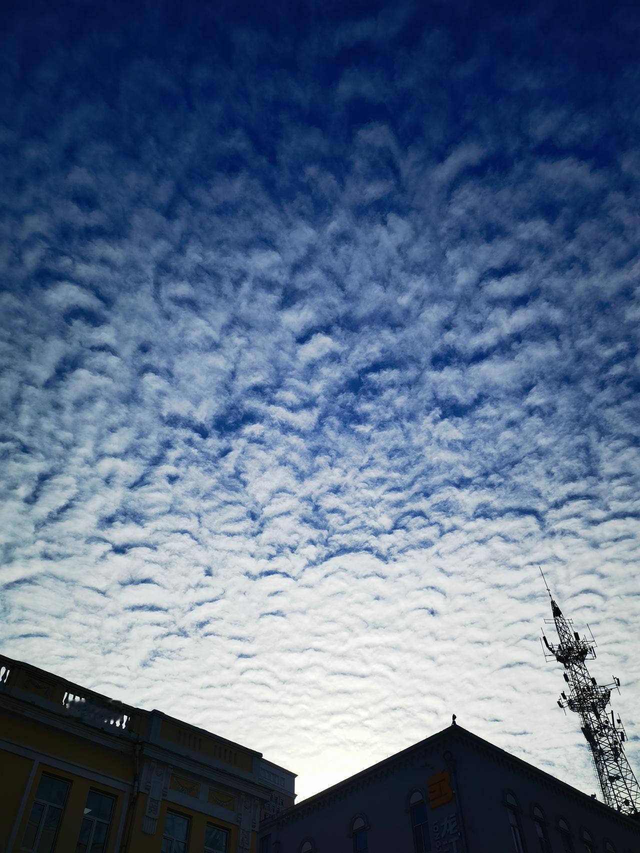 感觉这片云怎么这么奇怪，哈尔滨道里菜市场随手拍