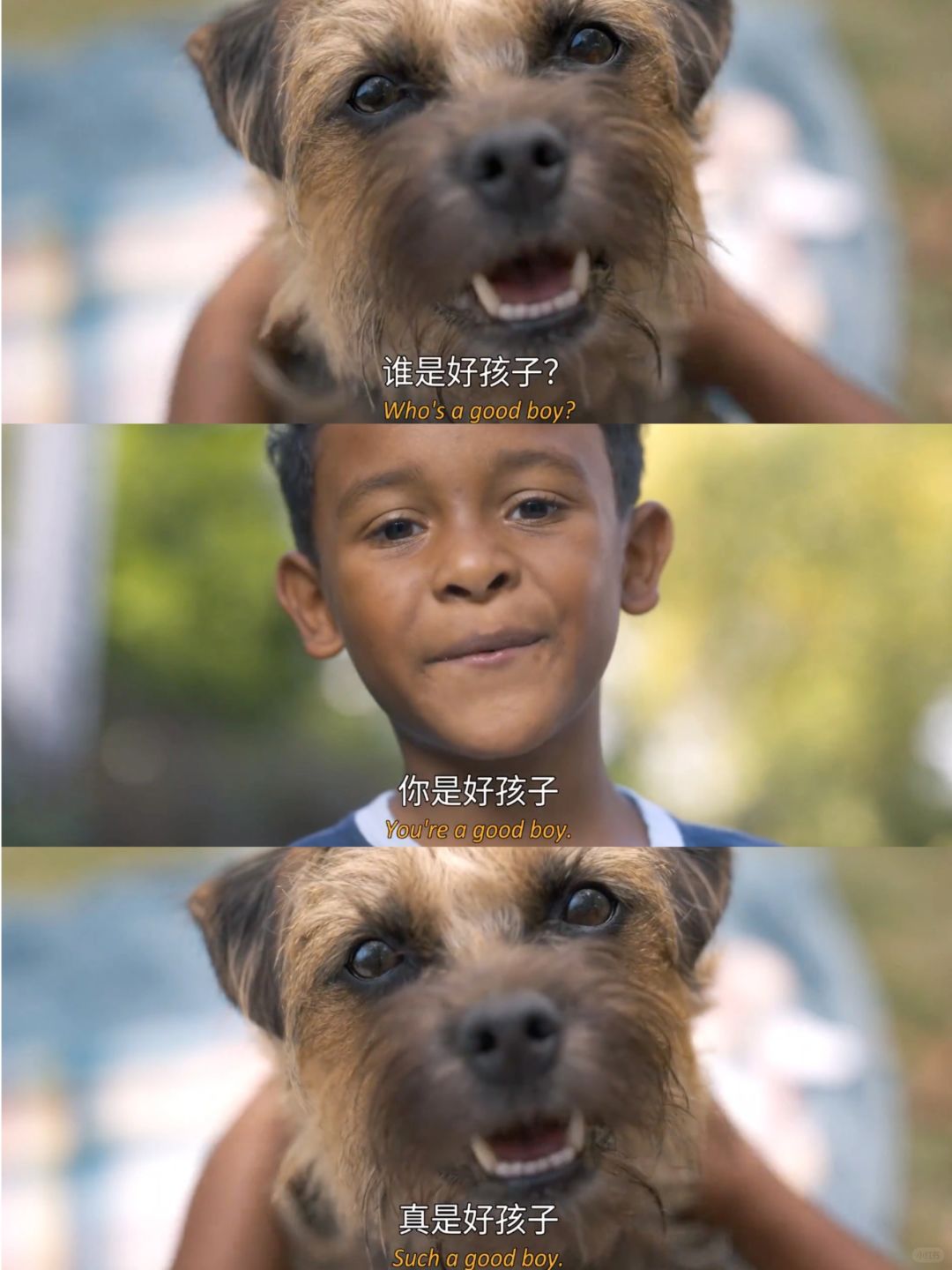 🆘怎么会有这么不适合孩子的狗电影
