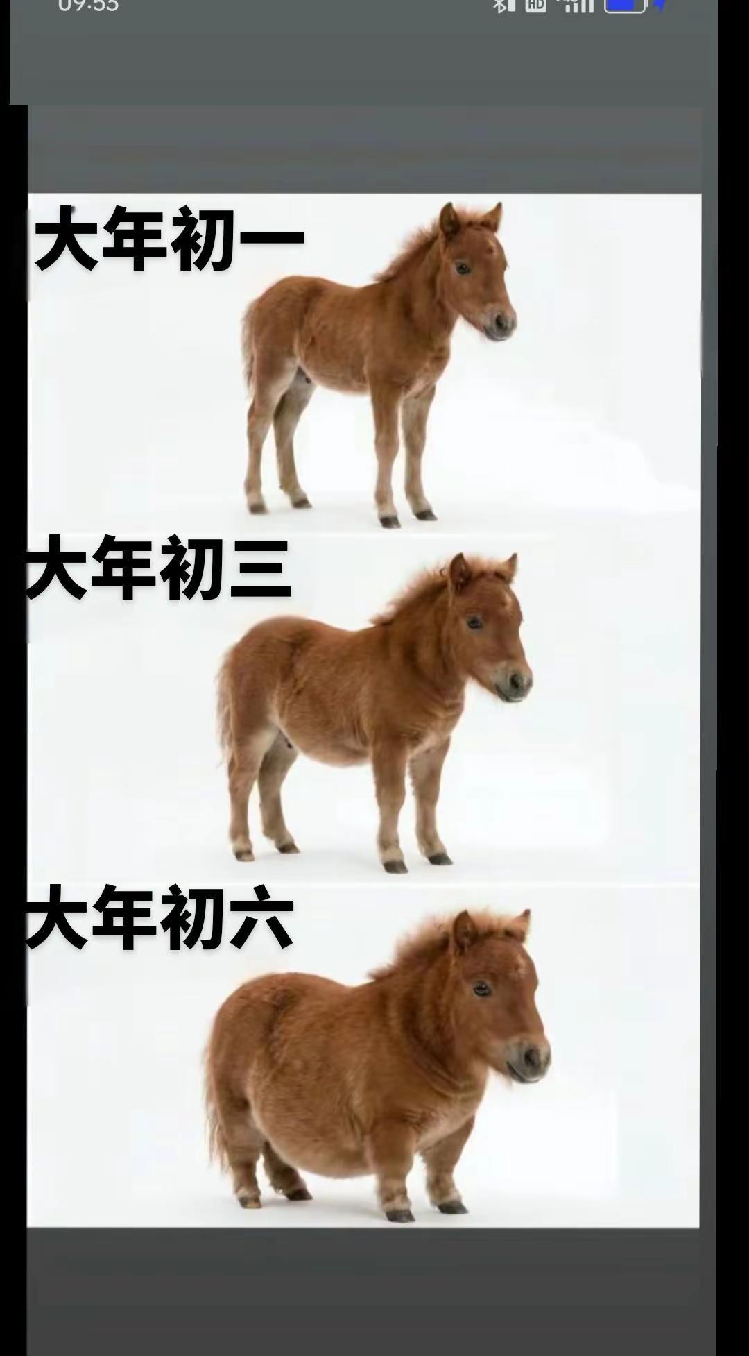 作文题目你自己定吧，你肚里如果没点墨水的话，我猜你是写不完美的[捂脸][捂脸]