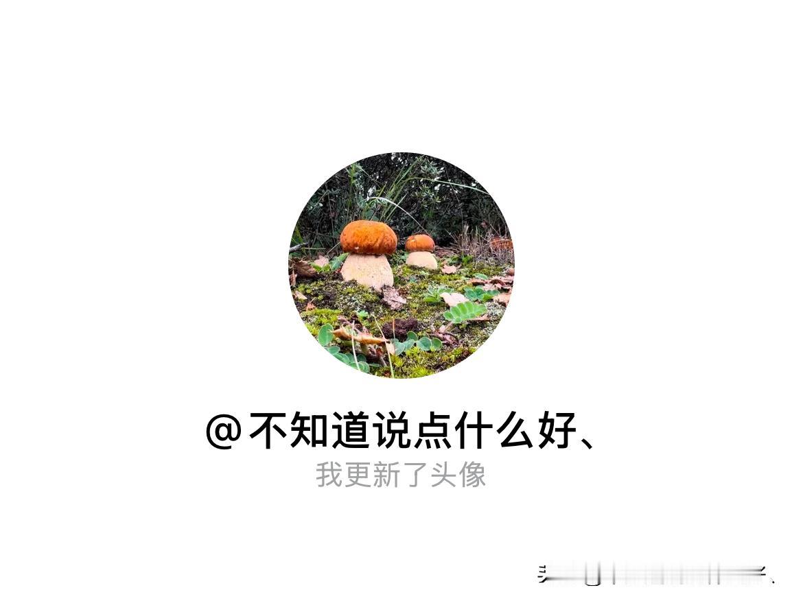 快来看看我新换的头像吧