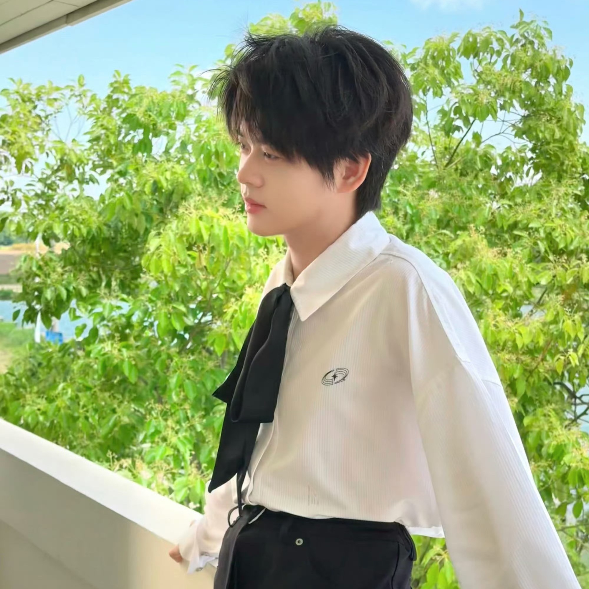 竞男动物塑第一期👉竞男狗塑上榜选手：花海、久酷、风箫、句号、流浪花海｜萨摩耶萨