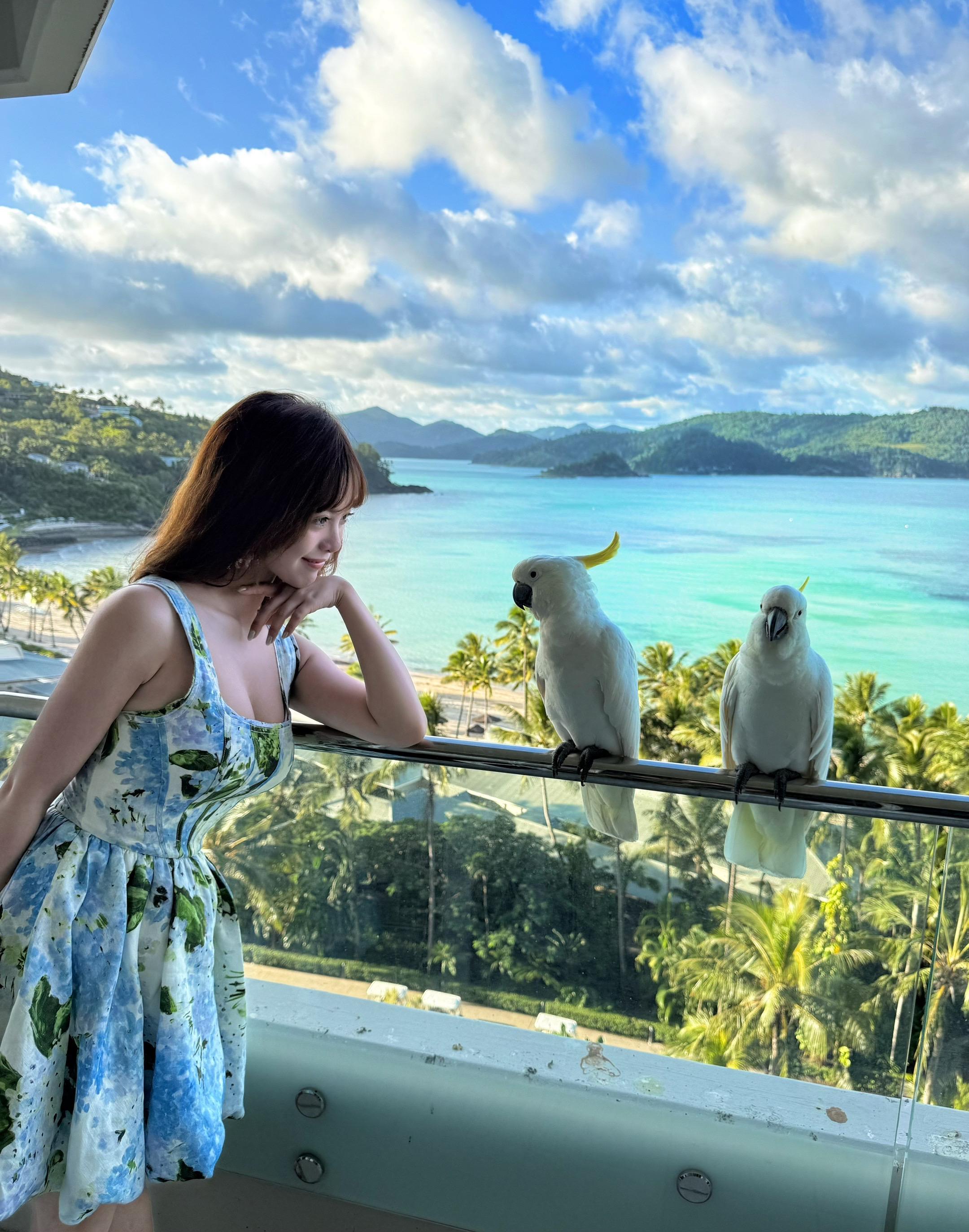 Hamilton Island dump 🩵💙🫶🏻喜欢澳洲的小动物