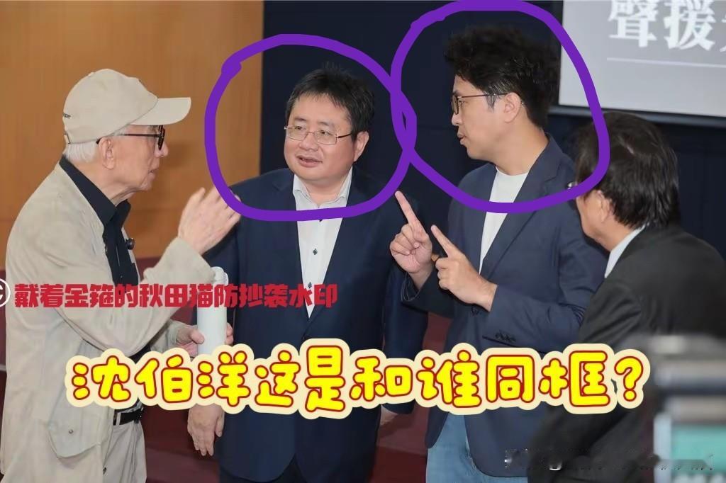 与沈伯洋同框之人，是不是台中被揍的矢板明夫？如果是，那么下面这些人的表现，是不是