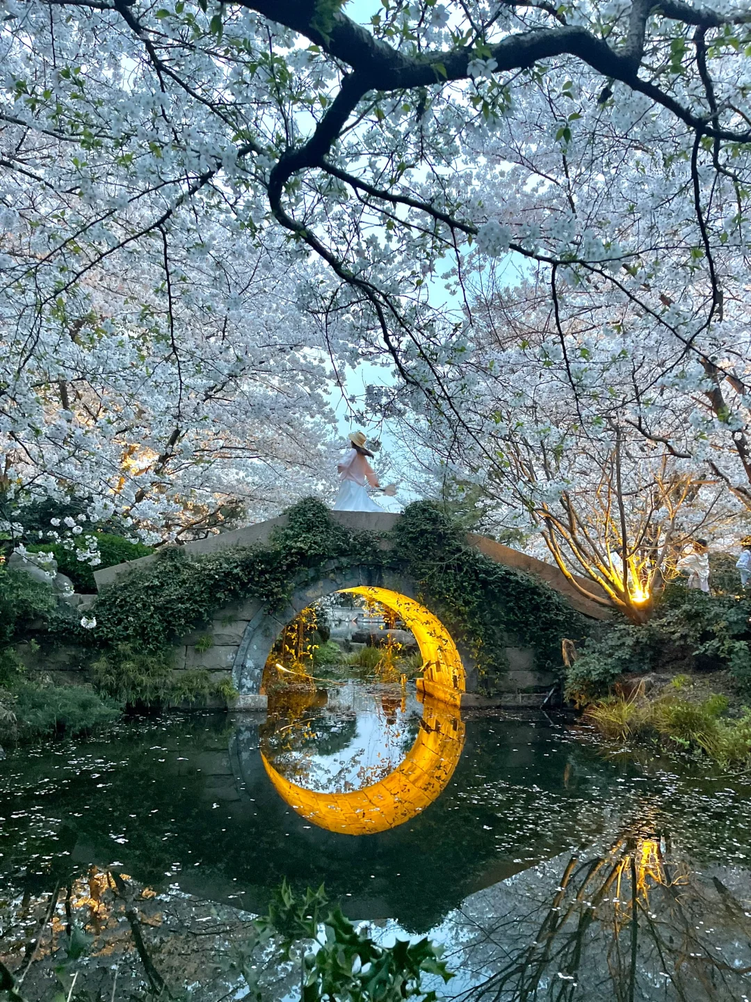 这就是我买iPhone15的意义📸 春夏秋冬live…