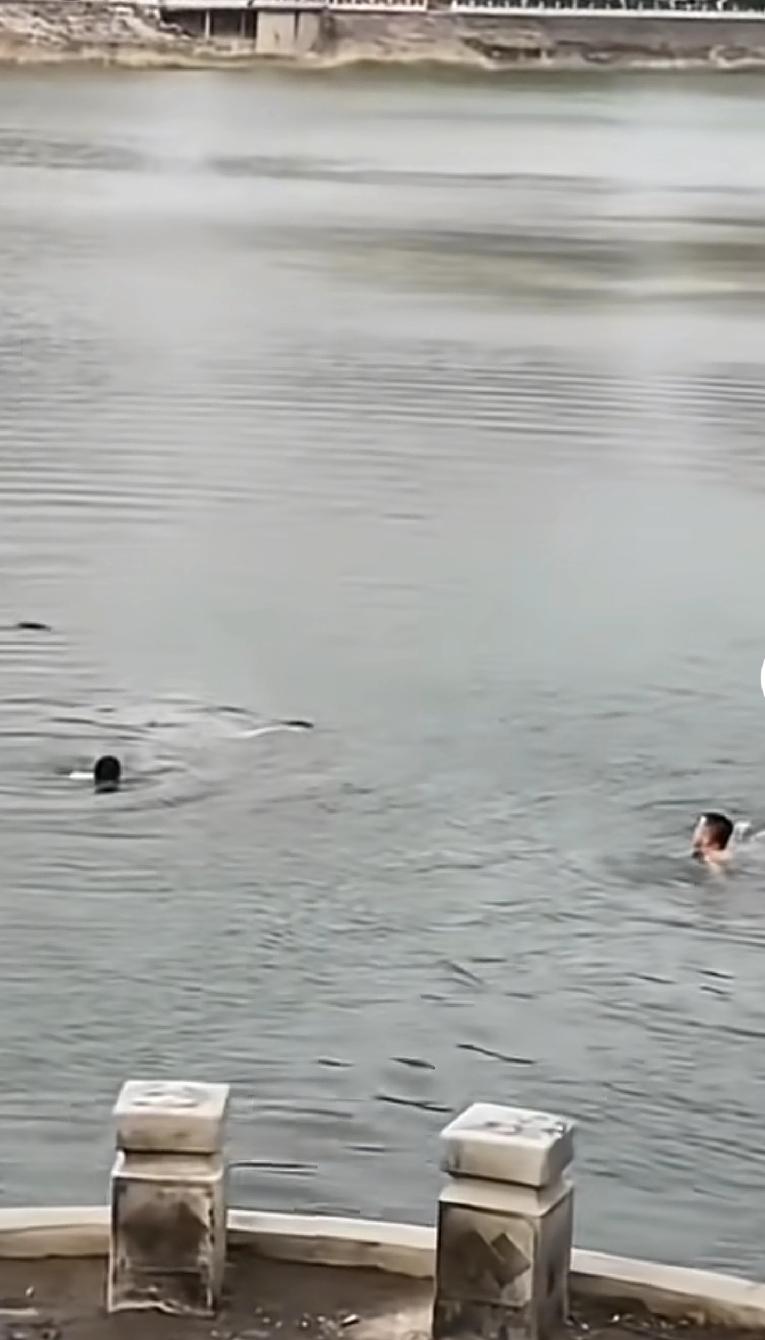 一女子不慎落水，俩男的去救，落水女子没少喝水呀，以后不会游泳，就别上水边玩，这不