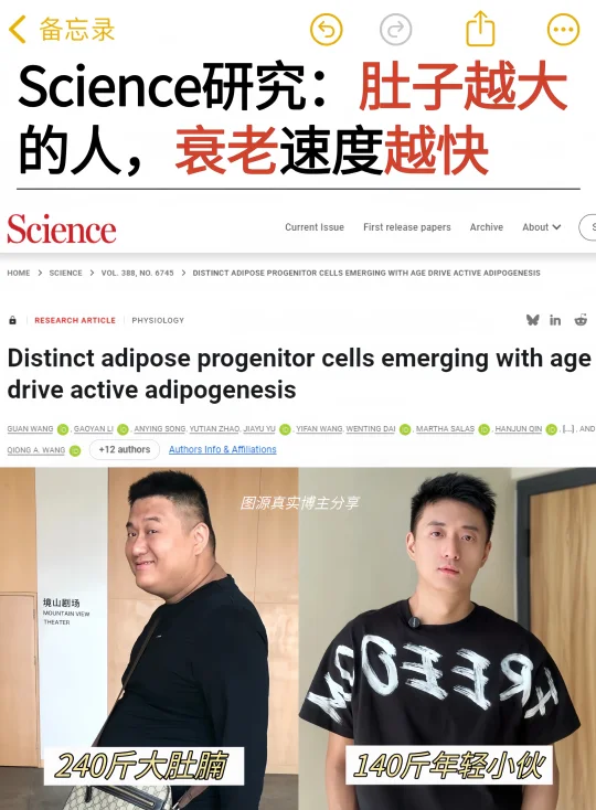肚子越大的人，衰老速度越快🔥