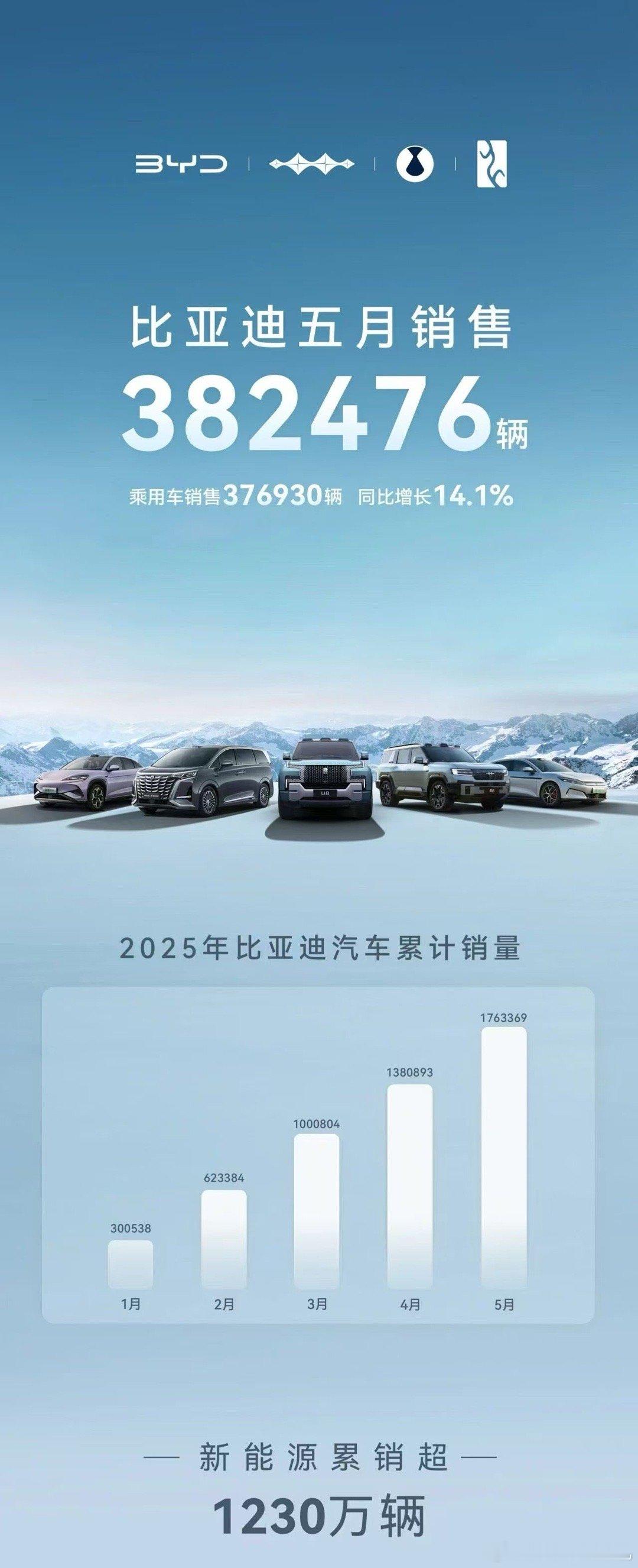 比亚迪 5月份销售382476辆，同比增长15.3%王朝丨海洋 销售348393