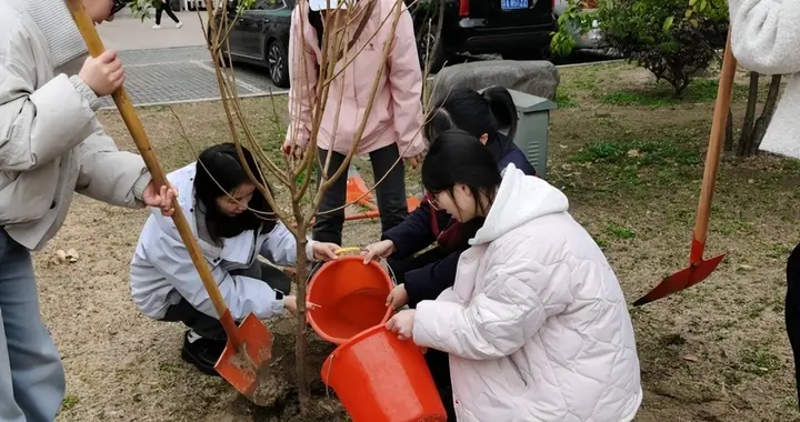 江苏多地开展植树节主题活动 学子携手添绿共筑生态梦