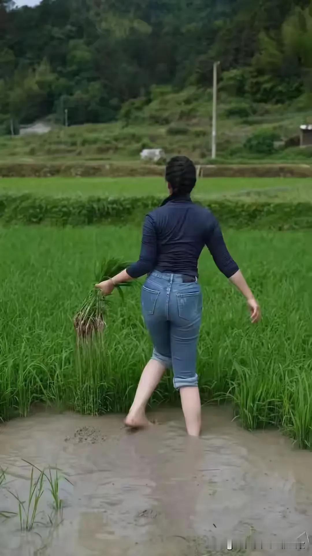 分享一下你随手拍的照片
