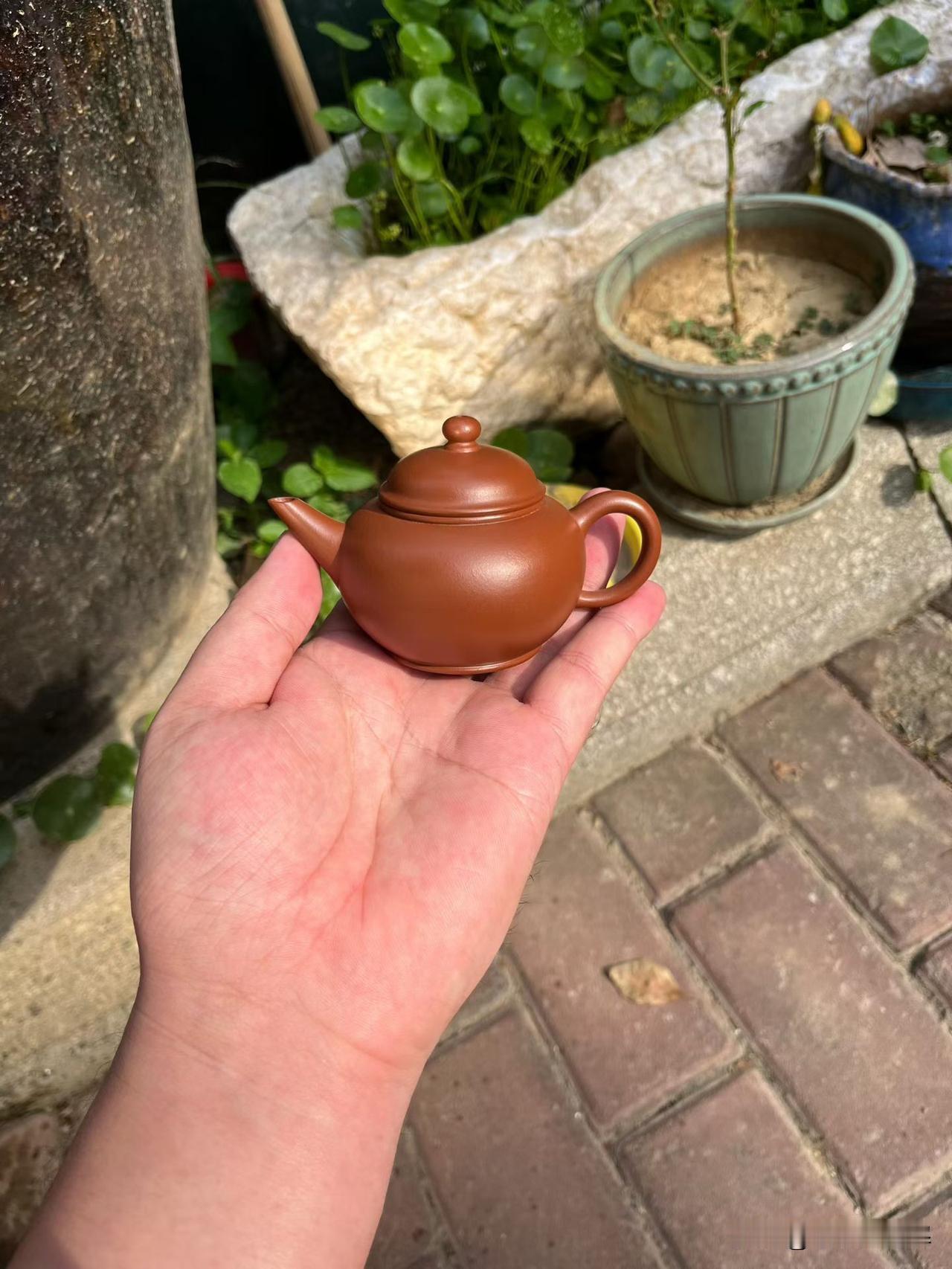 小水平壶，功夫茶席的定盘星水平壶，不争高低，只问公道。三点一线，一茶一心。壶有水