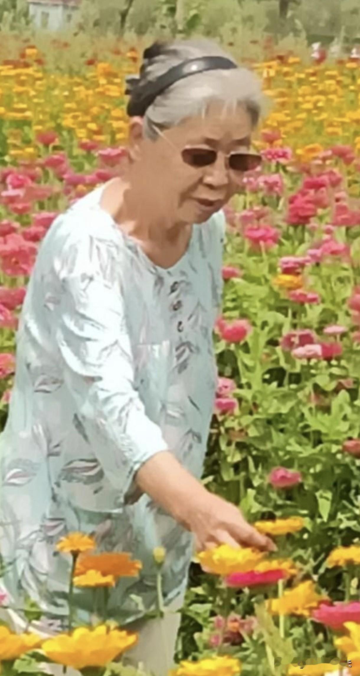 我在头条累计点赞破20万啦！
    [微风][微风][微风][送自己一朵花][