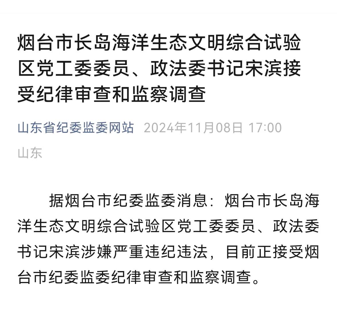【宋滨被查】