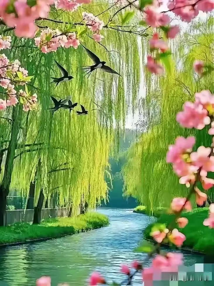 七律《春和景明》
 
淑气初回万象新，
芳郊翠野净无尘。
和风扇物柔丝暖，
晴日