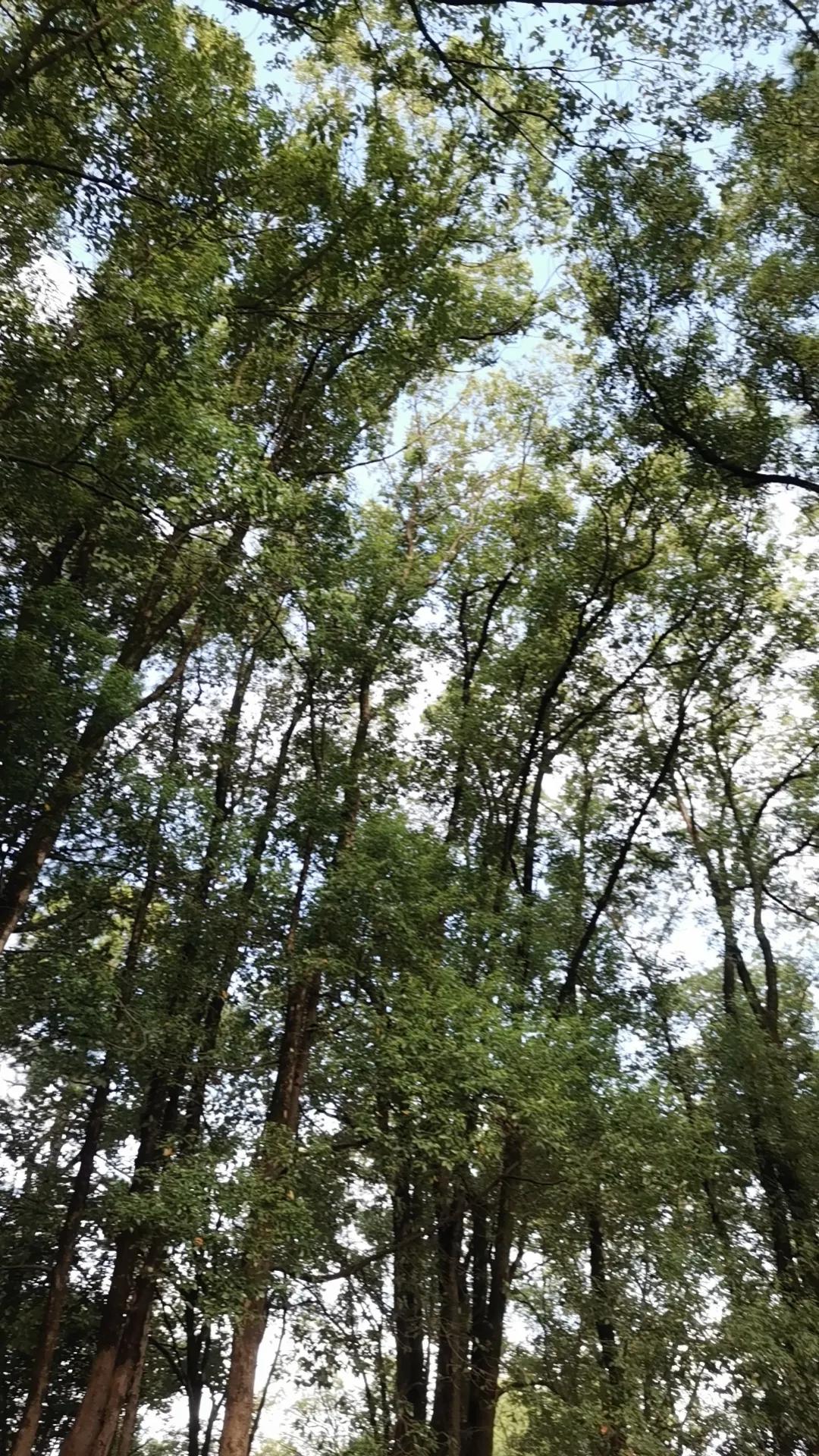 刚看到一段很喜欢的话：你的心理健康比你的工作重要，比钱重要，比其他人的看法重要，