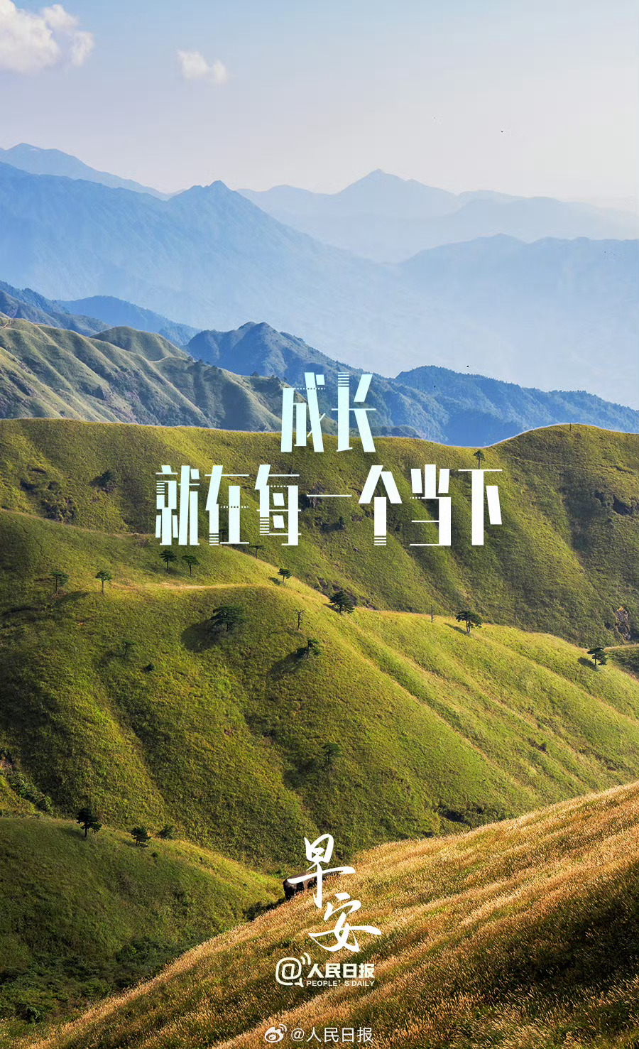 青春在场 【成长就在每一个当下】认真读完的几页书，耐心做好的一件小事，鼓起勇气迈