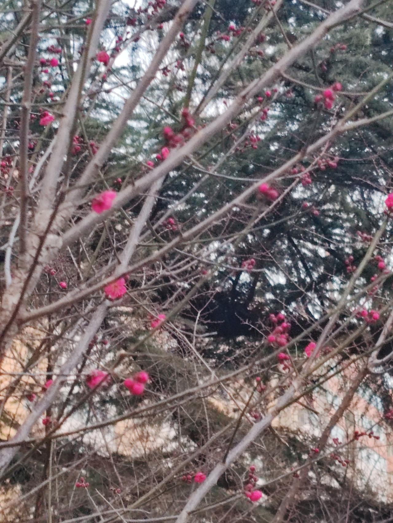 看到“岁月无痕人不老”这个上联，我觉得很有意境。岁月悄无声息，可人却仿佛能一直保