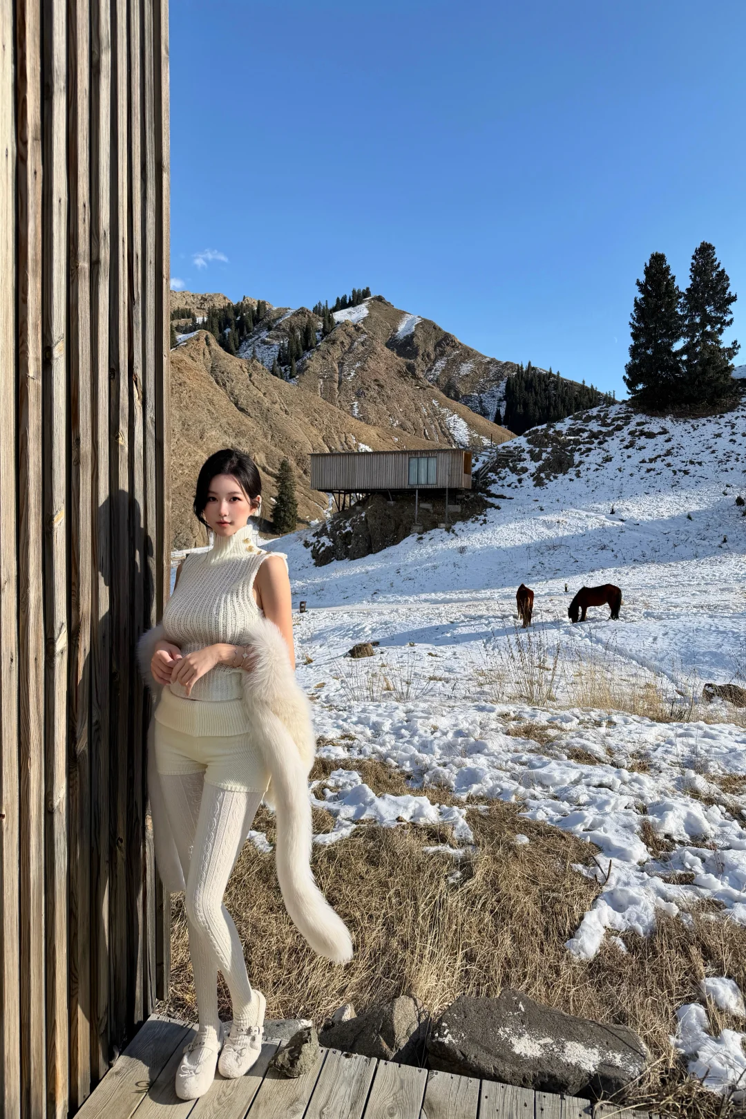 新疆｜赛里木湖周边雪山野奢营地🏕️