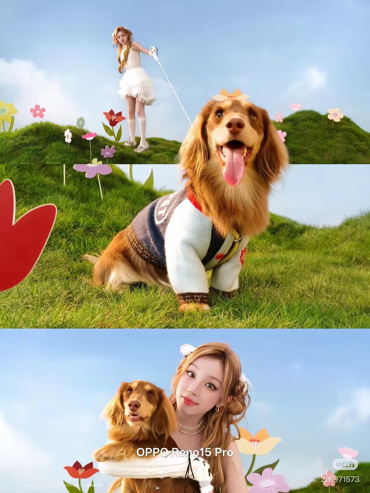 以前手机里就算拍了实况照片，也是基本不看，总感觉是困在框里的伪视频。但OPPO 