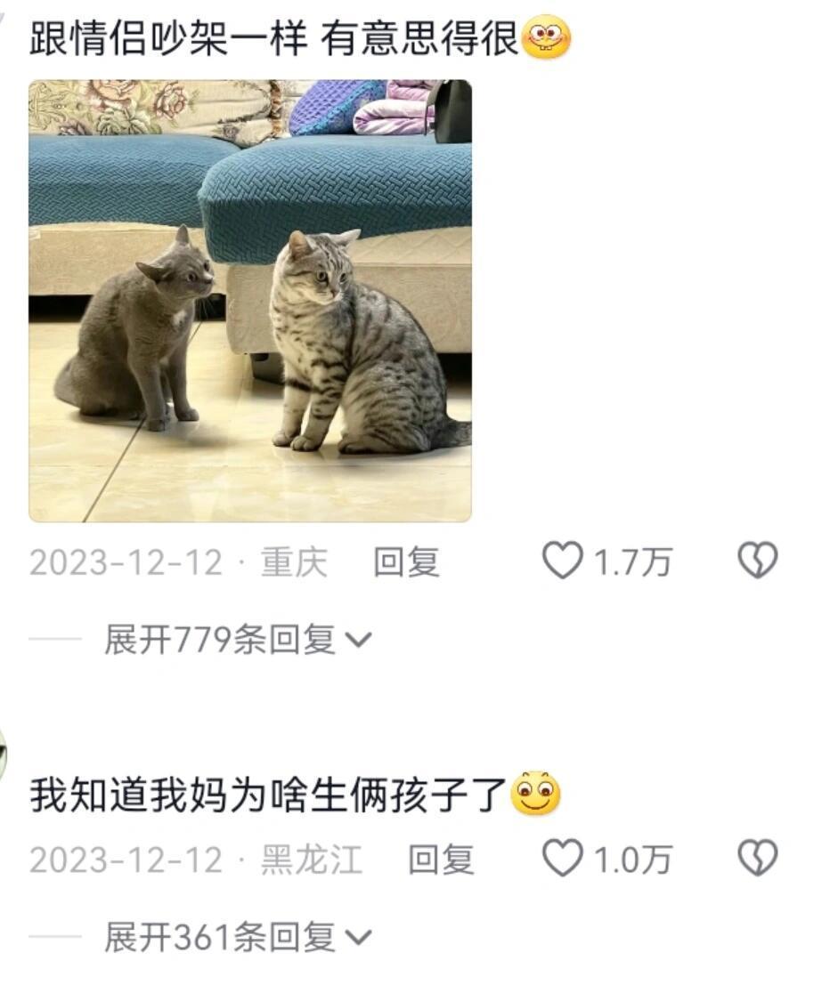 终于知道家里为什么要养两只猫了 