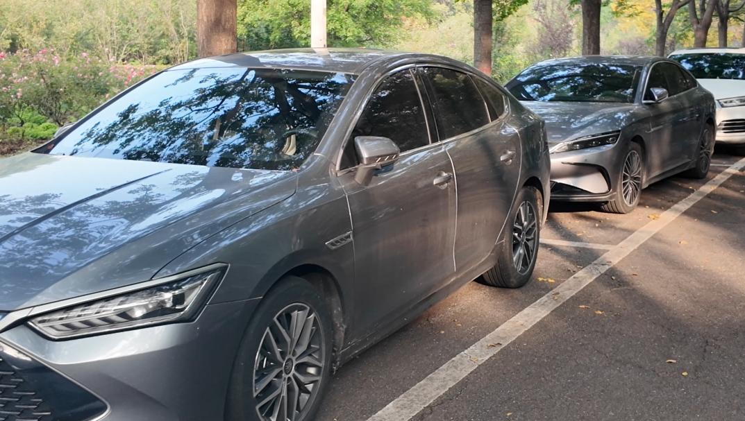 走进各地高校，比亚迪车型随处可见，“大学老师都在开比亚迪” 的圈层趋势愈发明显。