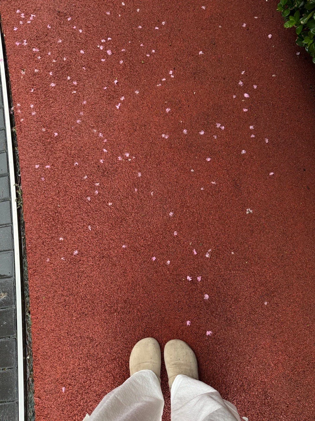 可惜我是处女座 憋憋憋憋憋憋憋憋憋憋憋 一问怎么了就总说 没事没事没事...