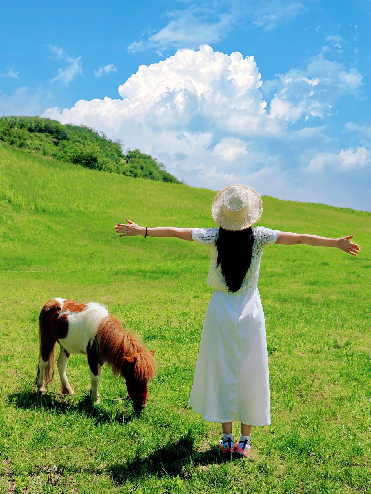 月薪1.6万放羊！这工作咋样？

近日，内蒙古锡林浩特一食品公司老板公开招人：工