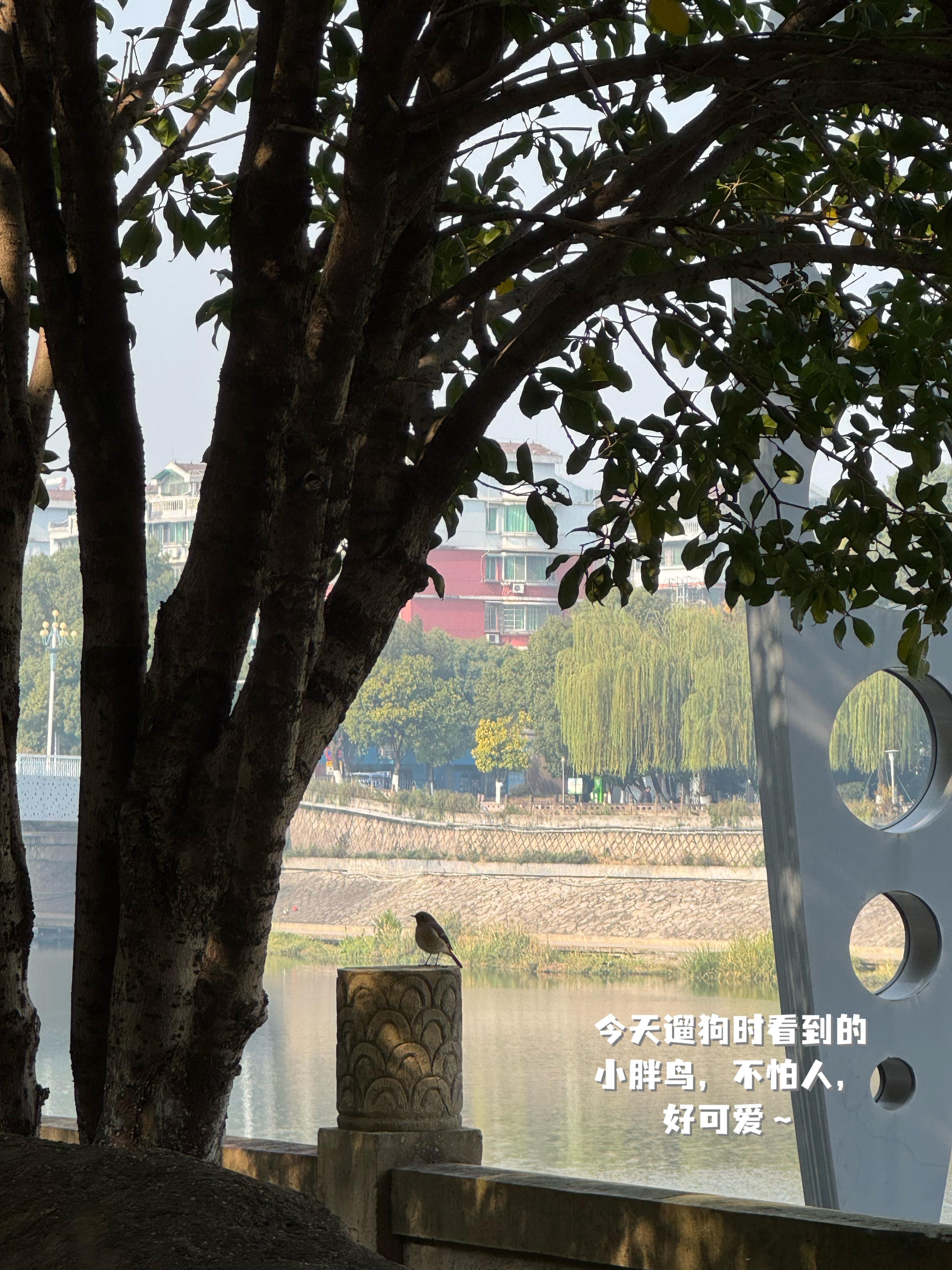 啊～这个点，终于忙完了～今天安爷爷攒的又是一个 20 多人的大 party我带安