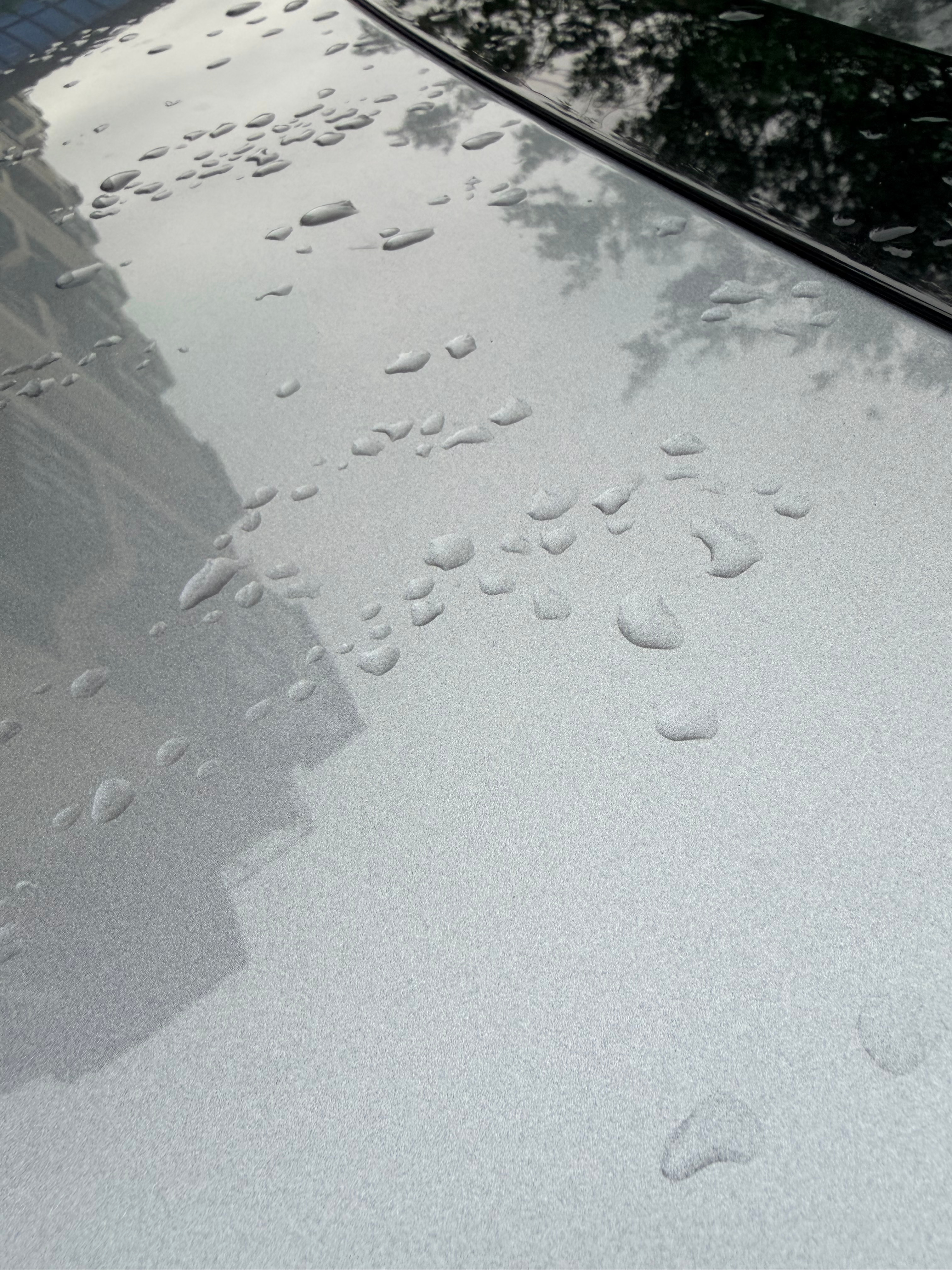 昨晚下雨，今早来工作室，车在地下车库停了一天，雨滴还没掉 青岛