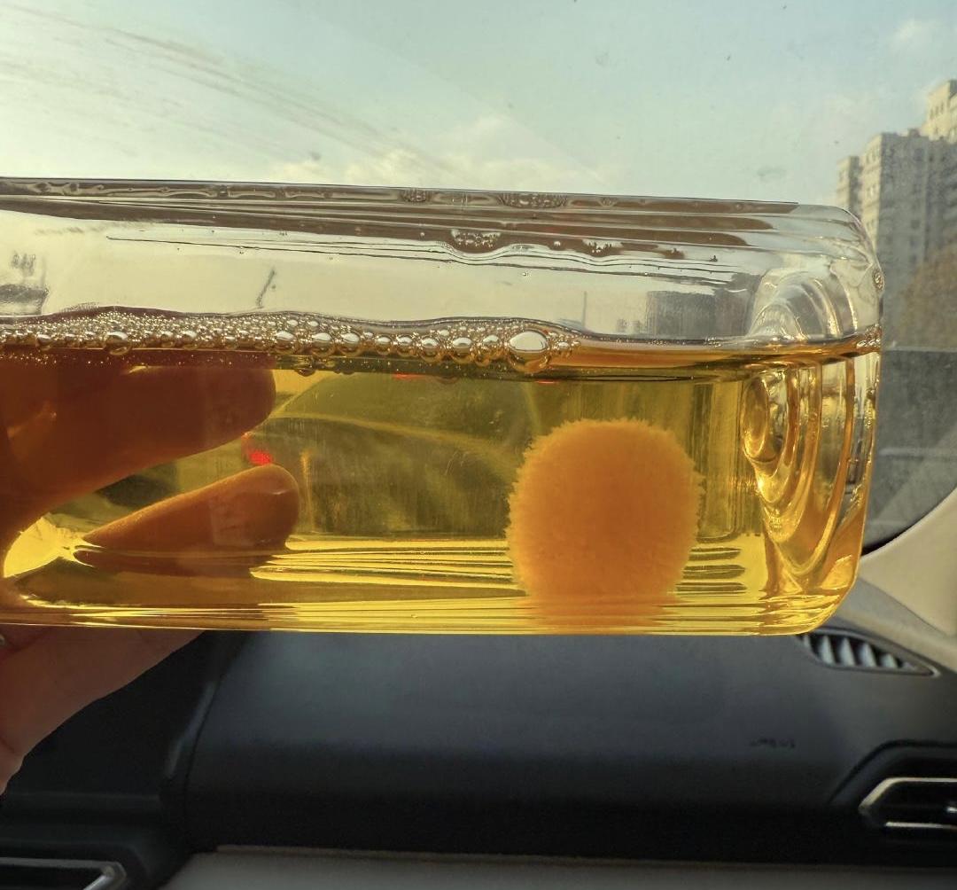 【吓人！车里放了20天的饮料，竟然“长”出了这个？！竟然还有人拿来当宠物？？】