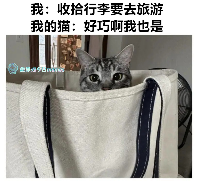 一起（9gag）今日meme[超话] 今日memes ​​​
