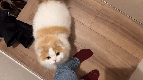 有没有胡思乱想喜欢内耗自己的宝贝～让自己忙起来，忙得我连麻辣王子都没来得及吃，不