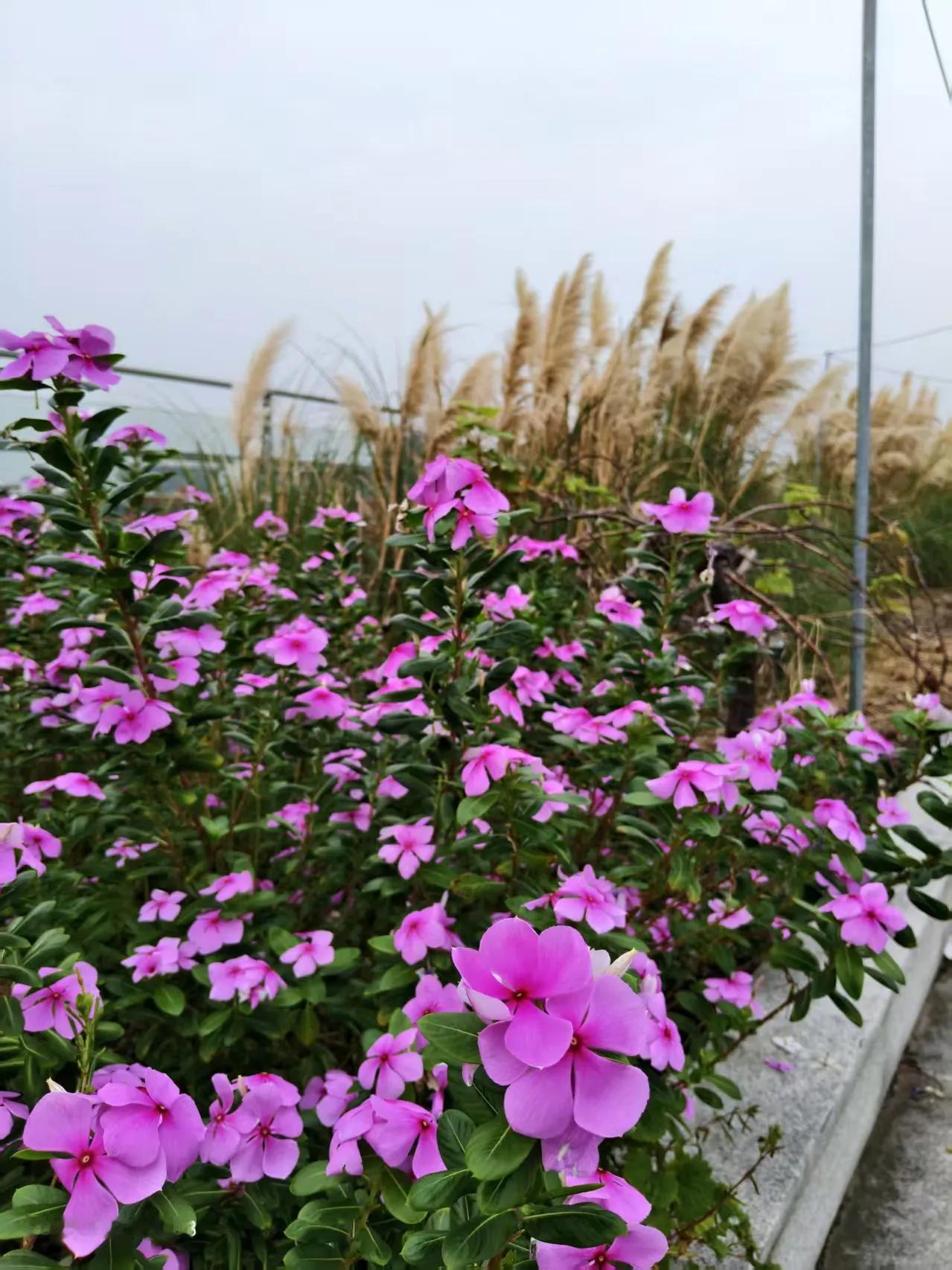 女人只要不挣钱
你在婆家就是硬气不起来
你也别犟
经济独立的女性
就有独立的话语