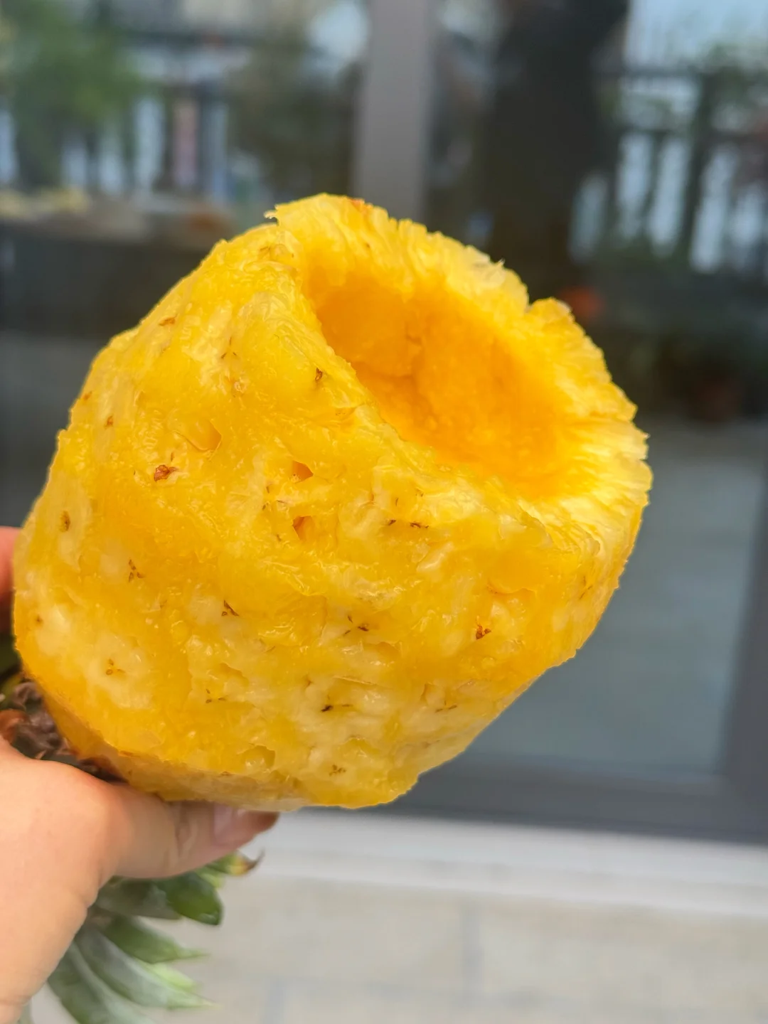 树上熟的金钻凤梨，真的是甜到跺脚！